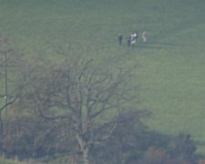 ON THE HILL
