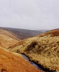 VALLY