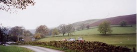 A FARM